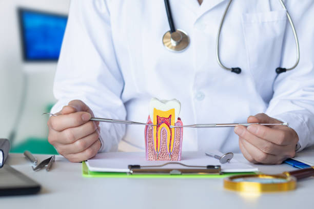 Best Broken or Cracked Tooth Emergency Dentist in Duryea, PA
